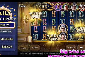 casinovip.site Online slot Golden Star Red Tiger bonus game free spins