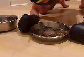 k9dogslave gets fed from its bowl